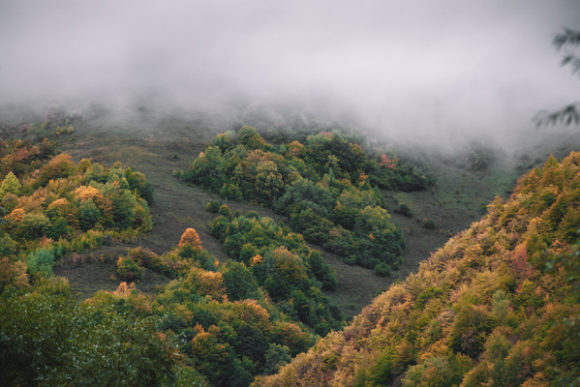 Download Foggy Autumn Colors in the Mountains - Autumn colors Collection