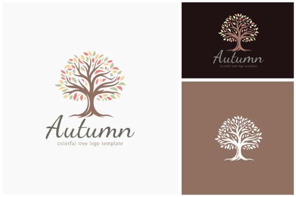 Download Oak Maple Tree Fall Autumn Colors Logo - Autumn colors Collection