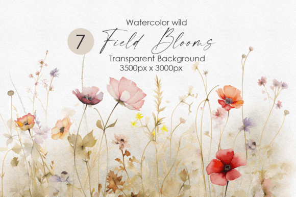 Download Watercolor Wild Flowers Collection - Watercolor wild flowers Collection